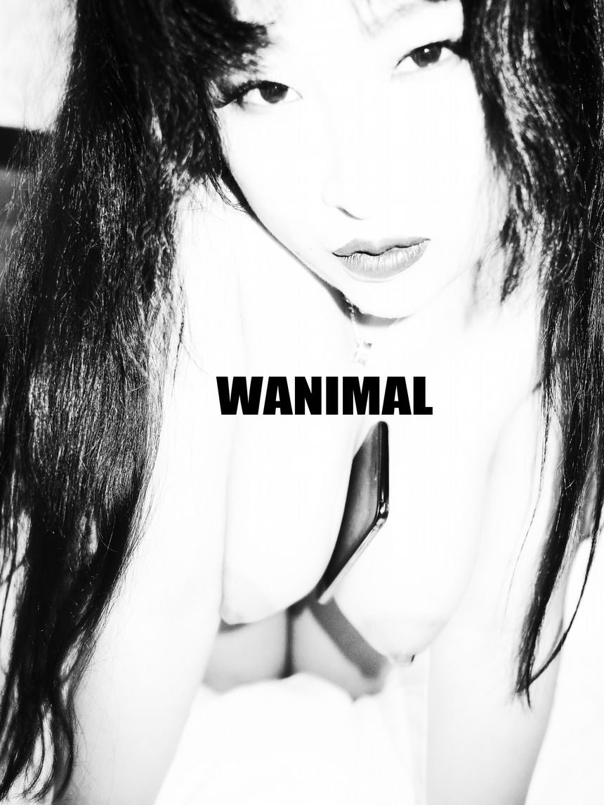 183VIP WANIMALٷƷ ͼ ϣ ʥ  [75P] 1ҳ